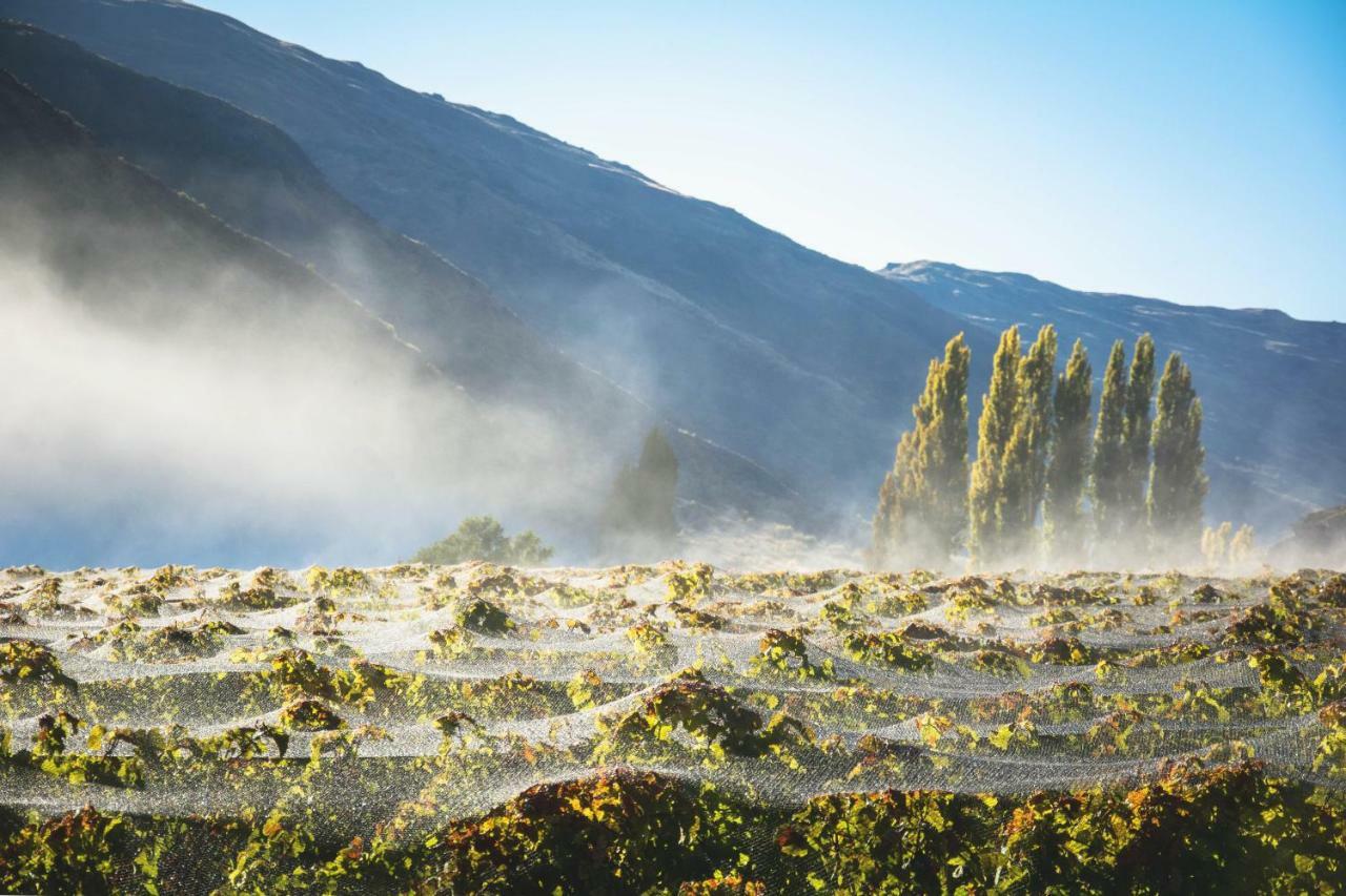 Gibbston Valley Lodge And Spa Queenstown Extérieur photo